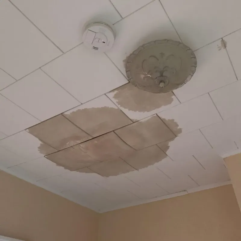 Ceiling Water Damage Repair in Bella Vista, CA